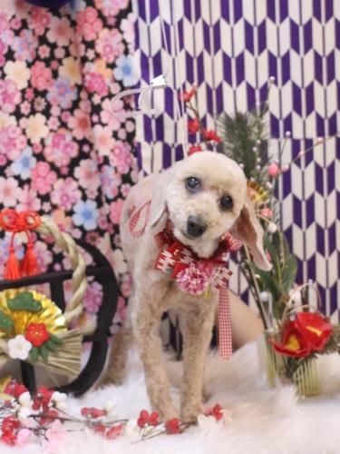 20250122ココアちゃん